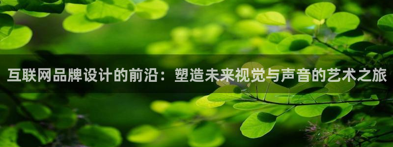 辉达平台官网下载