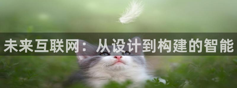 辉达娱乐最新消息新闻