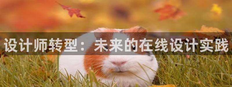 辉达娱乐时时彩