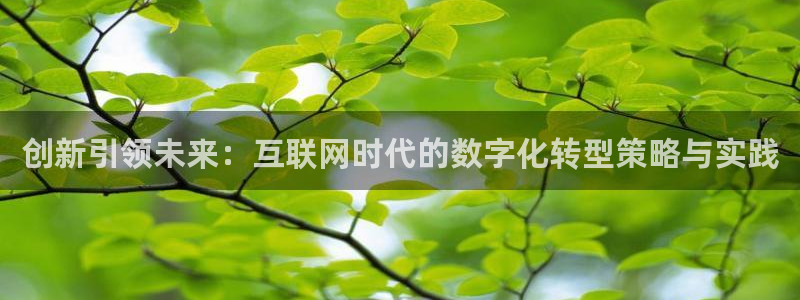 辉达娱乐体彩