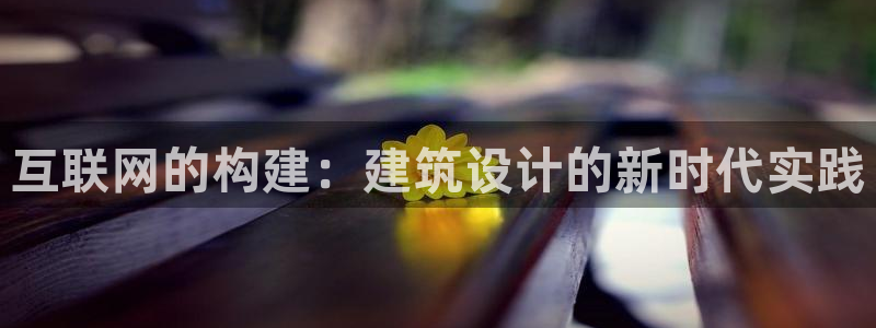 辉达娱乐丶75505：互联网的
