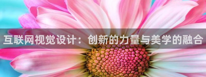 辉达娱乐待遇