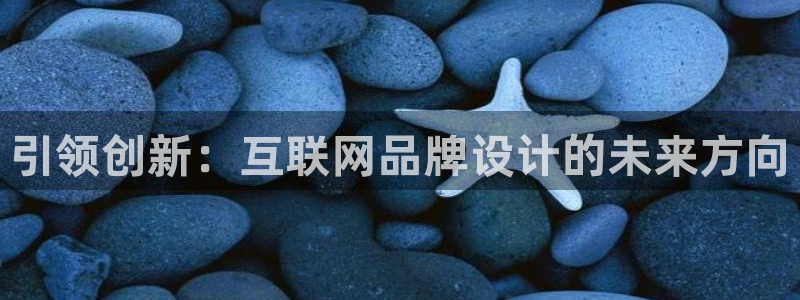 辉达娱乐属于什么档次