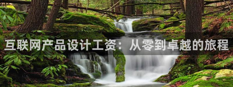 辉达平台官网网站