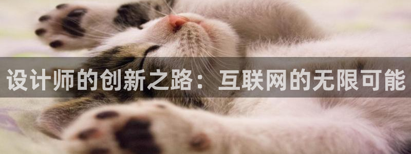 辉达娱乐检测