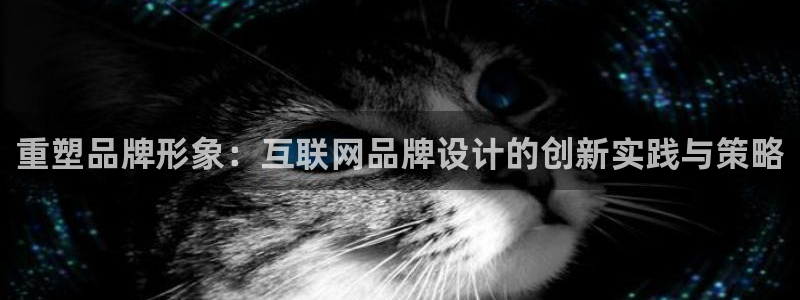 辉达娱乐丶75505：重塑品牌