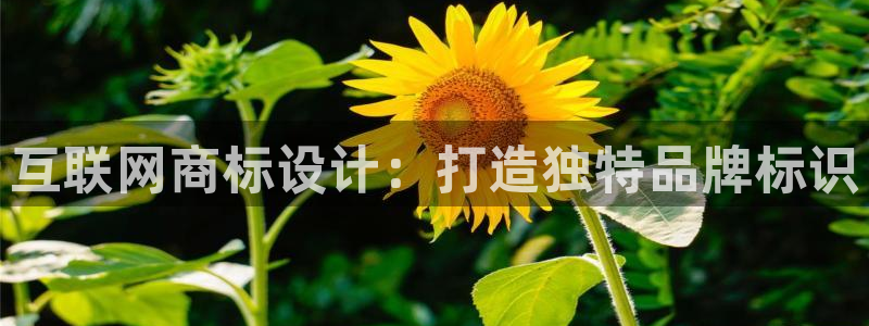 正规辉达娱乐在线游戏