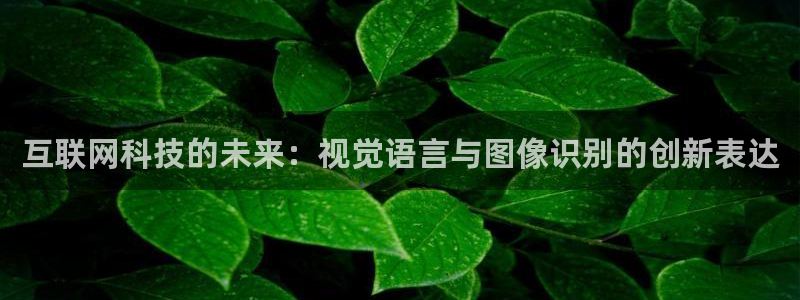 辉达娱乐加q75775：互联网