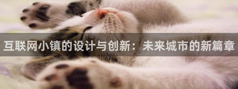 专业辉达娱乐平台