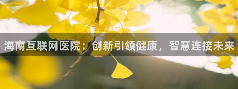 辉达娱乐衤39444