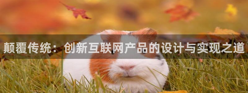 辉达娱乐福彩