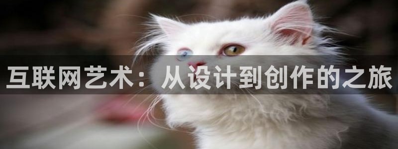 辉达娱乐广东11选5