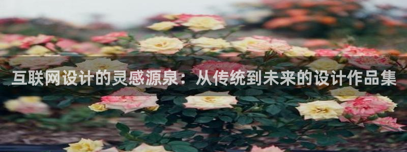 正规辉达娱乐在线游戏：互联网设