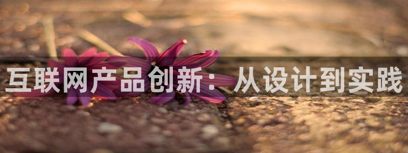 辉达娱乐官网