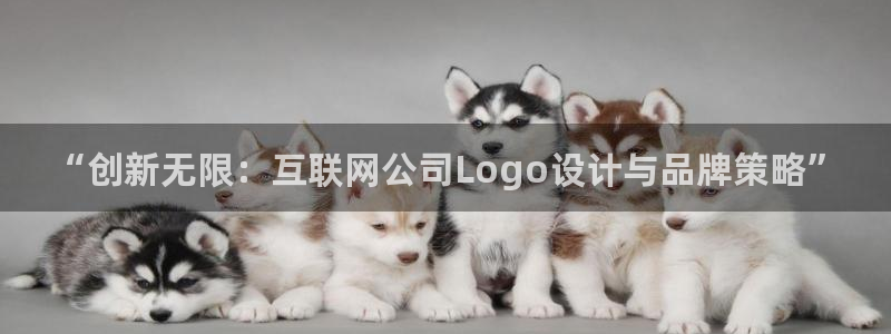 辉达平台娱乐怎么样