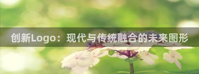 专业辉达娱乐平台：创新Logo