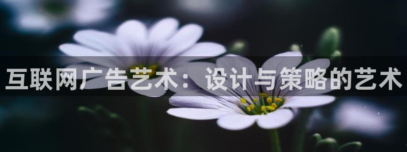 信誉辉达娱乐官方网址：互联网广