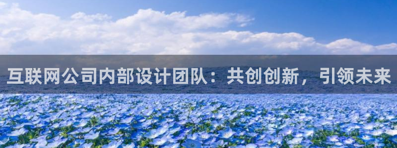 信誉辉达娱乐平台：互联网公司内