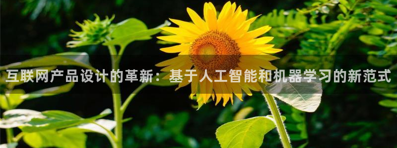 代理辉达娱乐开户注册：互联网产