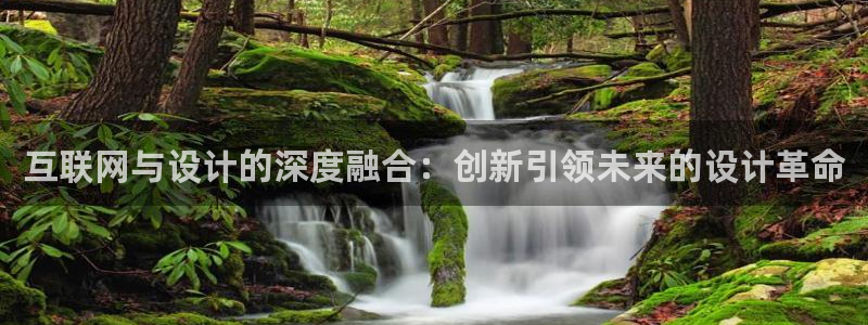 辉达娱乐开户注册：互联网与设计