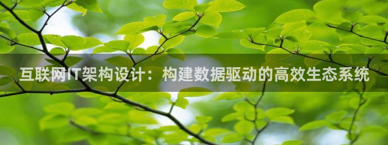 辉达娱乐电子游艺