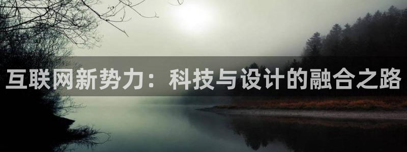 辉达集团官方网站：互联网新势力