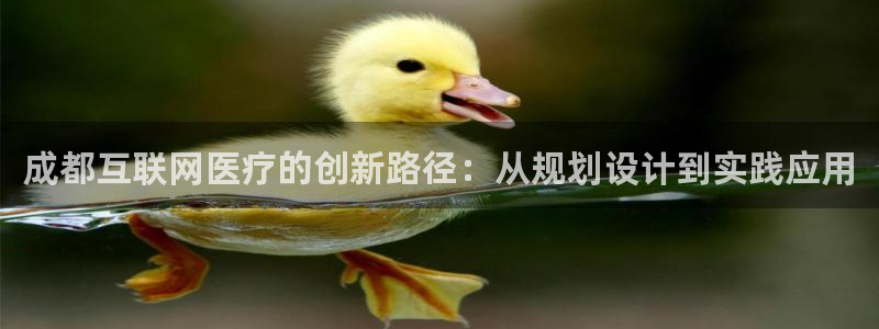 辉达平台官网电话
