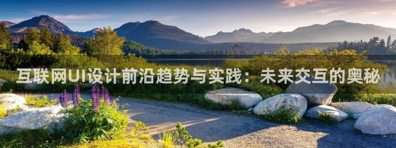 代理辉达娱乐平台