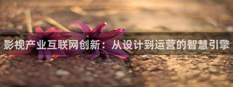 辉达娱乐体彩