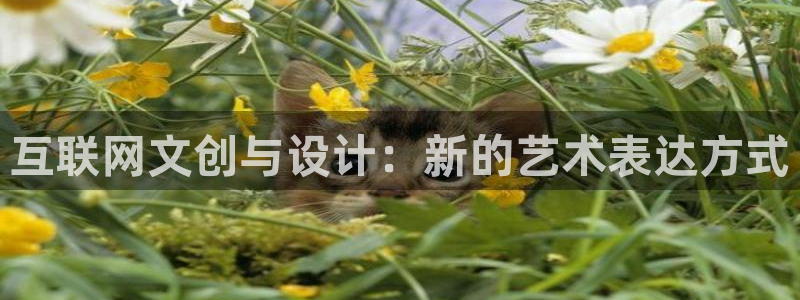 辉达娱乐时时彩