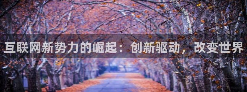 辉达娱乐分红