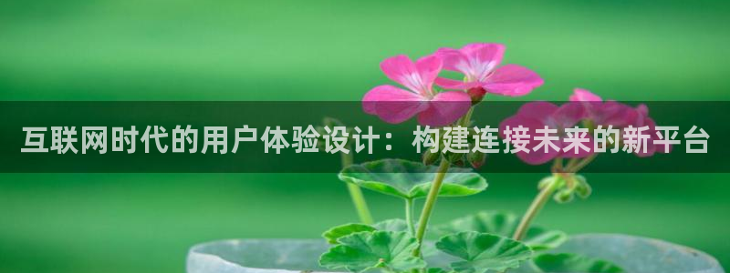 辉达怎么样