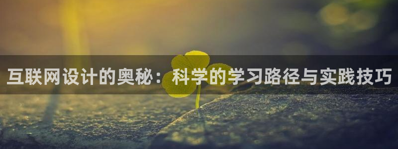辉达娱乐官方网址