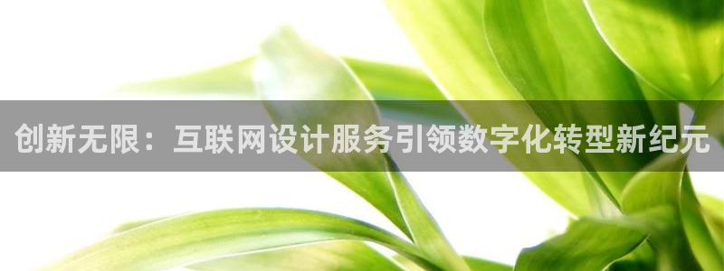 辉达娱乐分红：创新无限：互联网