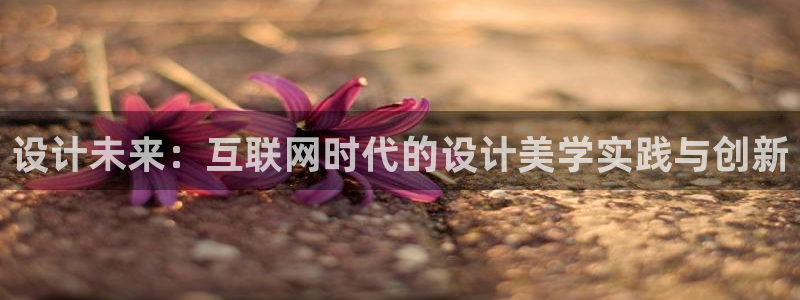 信誉辉达娱乐：设计未来：互联网