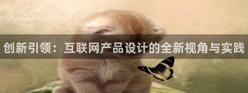 辉达平台官网下载