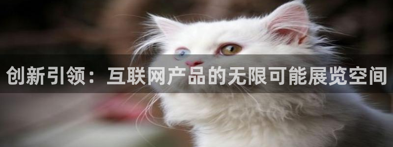辉达娱乐五39444