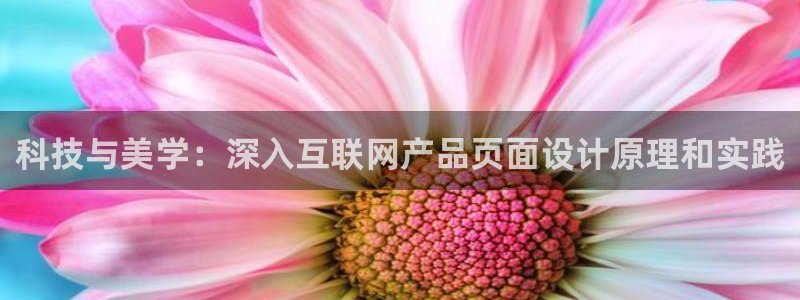 辉达娱乐招商