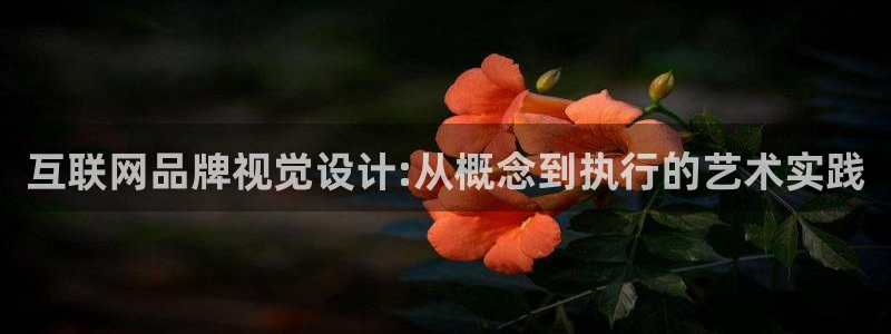 辉达娱乐丶75505
