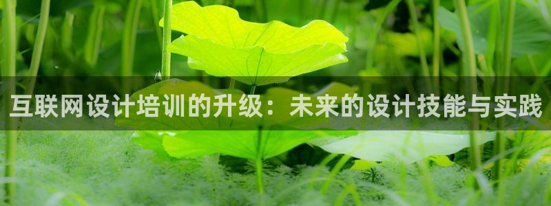 龙腾辉达电子娱乐
