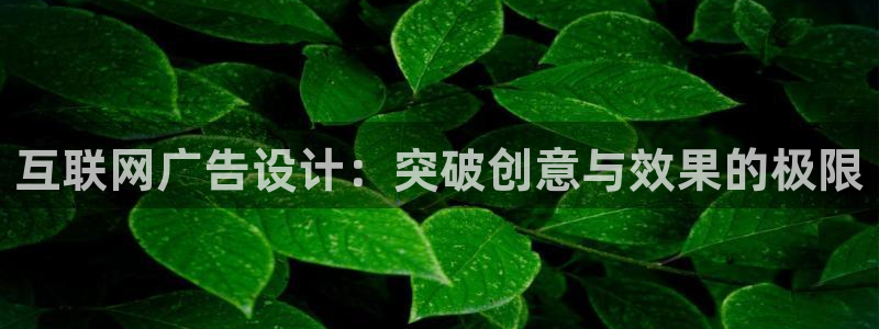 辉达娱乐ag游戏平台