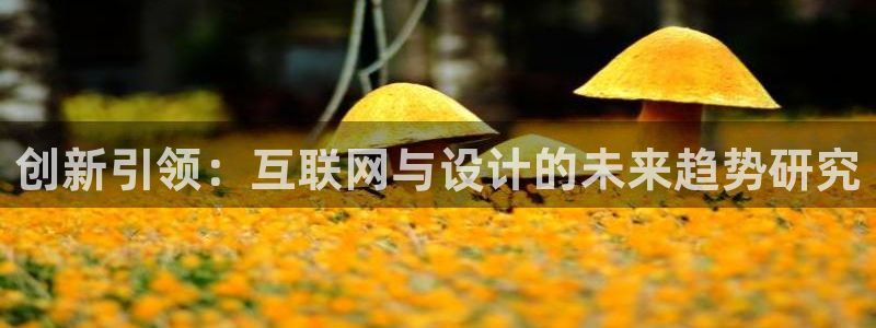 辉达娱乐正规吗