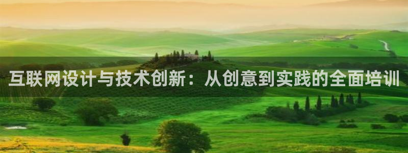 辉达娱乐ag游戏平台：互联网设